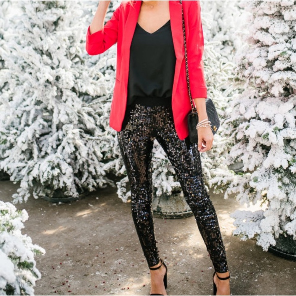 Express sequin and velvet pants